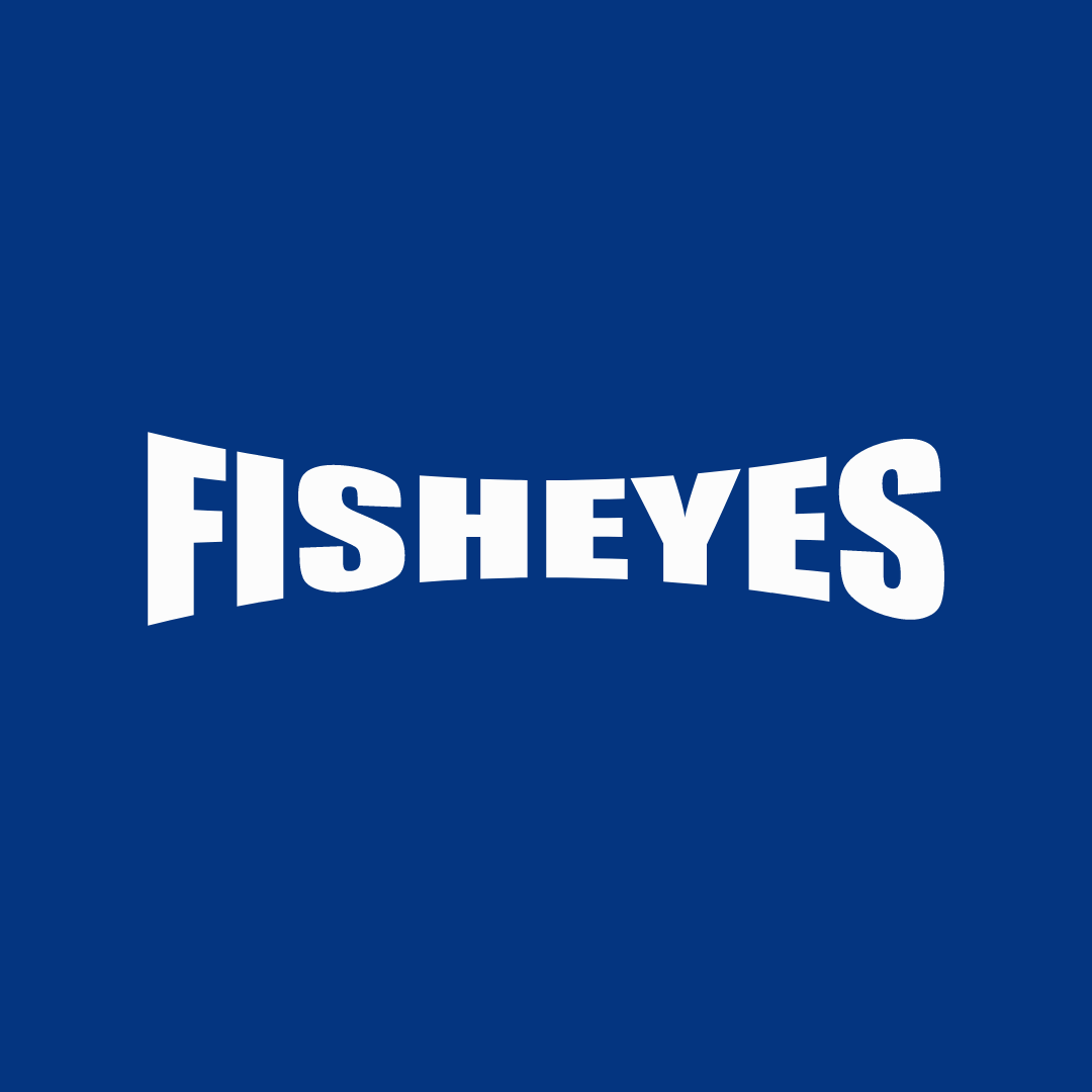 Fisheyes travel tech Partner